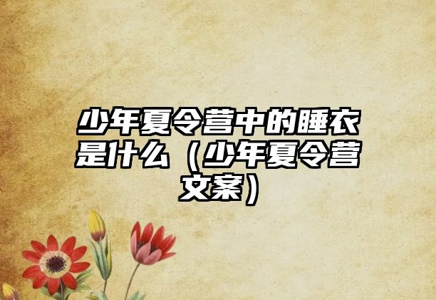 少年夏令營中的睡衣是什么（少年夏令營文案）