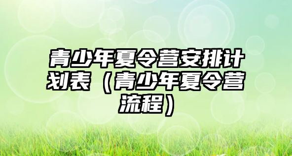 青少年夏令營安排計劃表（青少年夏令營流程）