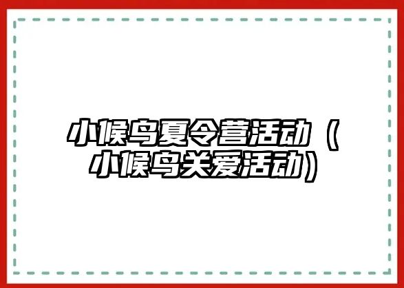 小候鳥(niǎo)夏令營(yíng)活動(dòng)（小候鳥(niǎo)關(guān)愛(ài)活動(dòng)）