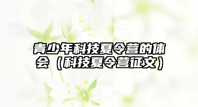 青少年科技夏令營的體會(huì)（科技夏令營征文）