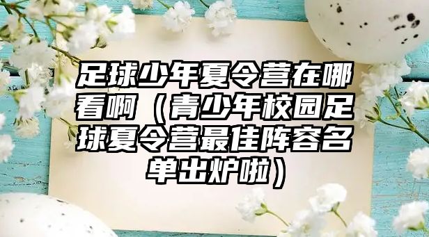 足球少年夏令營在哪看?。ㄇ嗌倌晷@足球夏令營最佳陣容名單出爐啦）