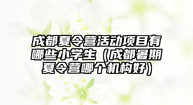 成都夏令營(yíng)活動(dòng)項(xiàng)目有哪些小學(xué)生（成都暑期夏令營(yíng)哪個(gè)機(jī)構(gòu)好）