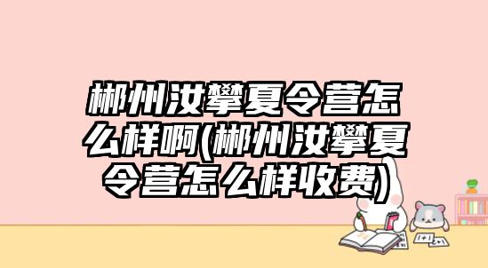 郴州汝攀夏令營怎么樣啊(郴州汝攀夏令營怎么樣收費)