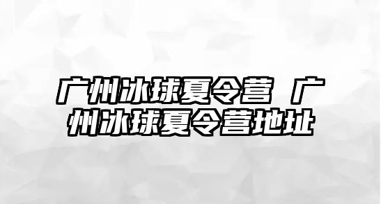 廣州冰球夏令營 廣州冰球夏令營地址