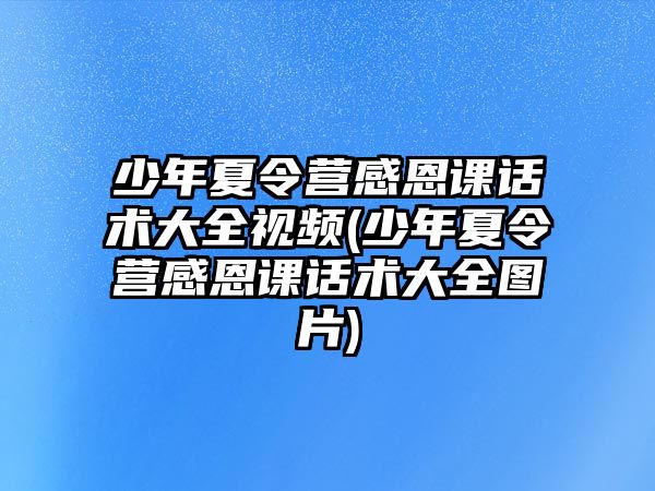 少年夏令營(yíng)感恩課話術(shù)大全視頻(少年夏令營(yíng)感恩課話術(shù)大全圖片)