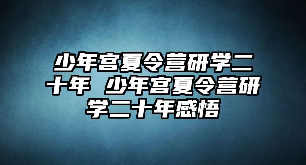 少年宮夏令營研學二十年 少年宮夏令營研學二十年感悟