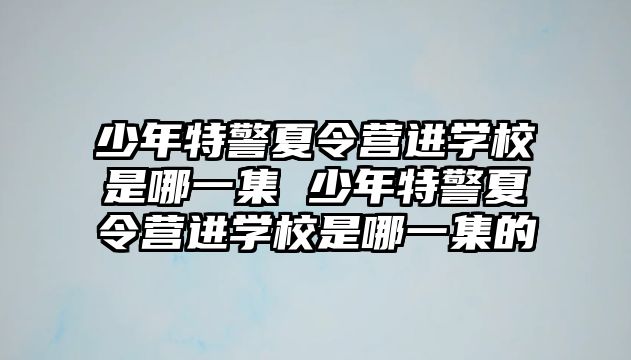 少年特警夏令營進學校是哪一集 少年特警夏令營進學校是哪一集的