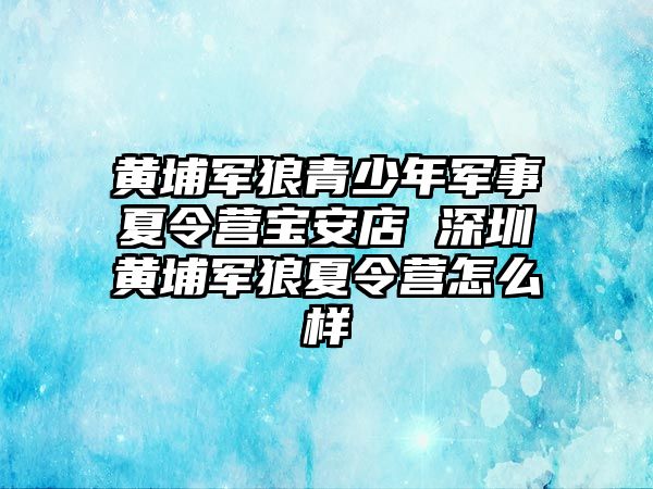 黃埔軍狼青少年軍事夏令營寶安店 深圳黃埔軍狼夏令營怎么樣