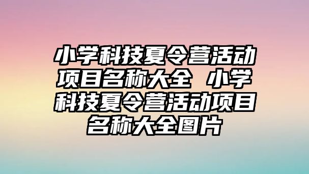 小學科技夏令營活動項目名稱大全 小學科技夏令營活動項目名稱大全圖片