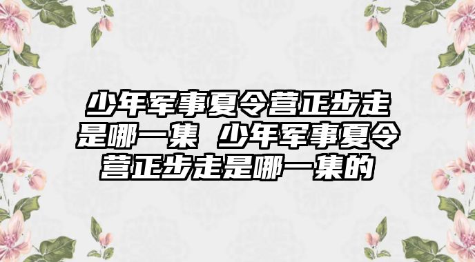 少年軍事夏令營(yíng)正步走是哪一集 少年軍事夏令營(yíng)正步走是哪一集的