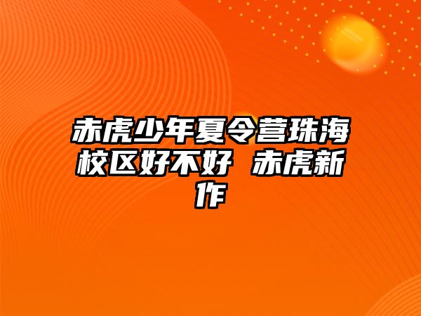 赤虎少年夏令營珠海校區好不好 赤虎新作