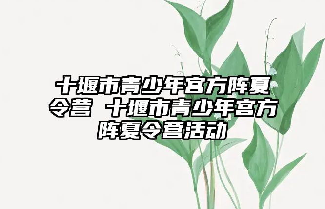 十堰市青少年宮方陣夏令營 十堰市青少年宮方陣夏令營活動