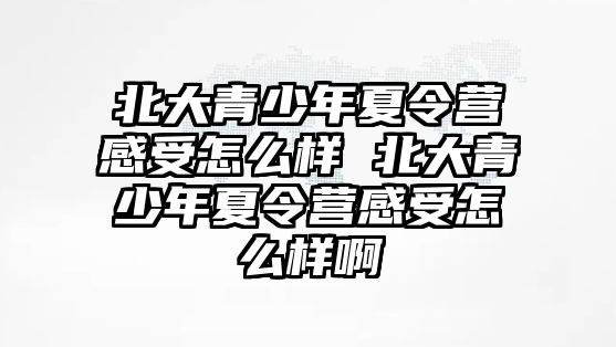 北大青少年夏令營感受怎么樣 北大青少年夏令營感受怎么樣啊