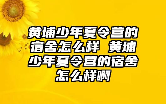 黃埔少年夏令營的宿舍怎么樣 黃埔少年夏令營的宿舍怎么樣啊