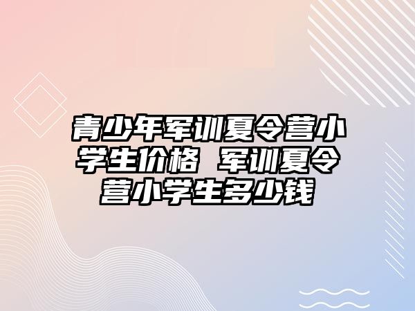 青少年軍訓夏令營小學生價格 軍訓夏令營小學生多少錢