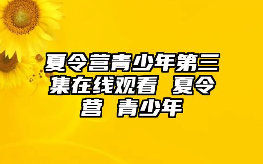 夏令營青少年第三集在線觀看 夏令營 青少年