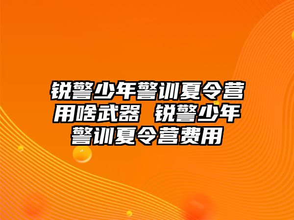 銳警少年警訓夏令營用啥武器 銳警少年警訓夏令營費用