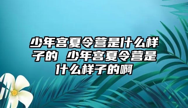 少年宮夏令營是什么樣子的 少年宮夏令營是什么樣子的啊