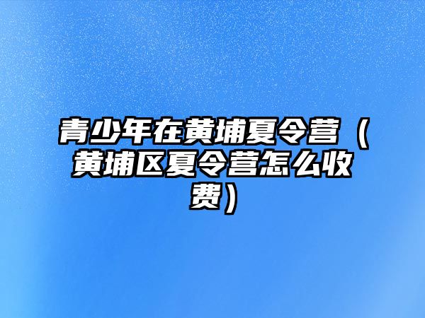 青少年在黃埔夏令營（黃埔區夏令營怎么收費）