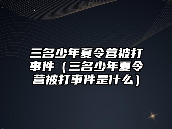 三名少年夏令營被打事件（三名少年夏令營被打事件是什么）