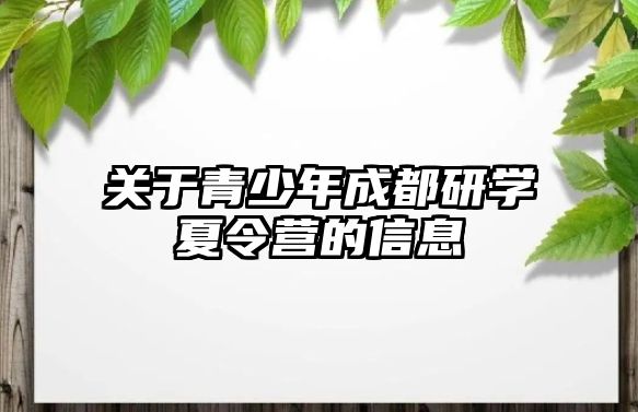 關于青少年成都研學夏令營的信息