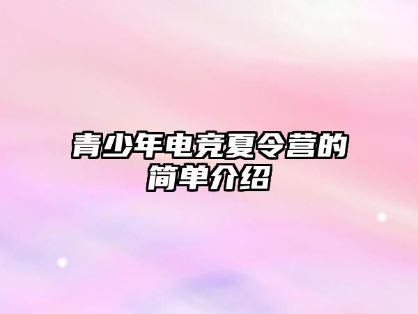 青少年電競夏令營的簡單介紹