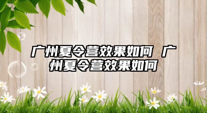 廣州夏令營(yíng)效果如何 廣州夏令營(yíng)效果如何