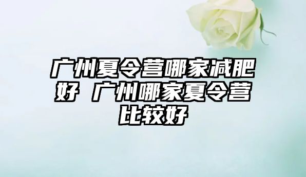 廣州夏令營哪家減肥好 廣州哪家夏令營比較好