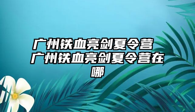 廣州鐵血亮劍夏令營(yíng) 廣州鐵血亮劍夏令營(yíng)在哪